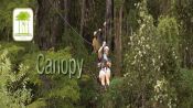 CANOPY, Pucon, CHILE