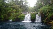 Tour of area, half day, Pucon, CHILE