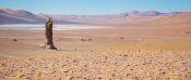 The Salt Flats Route, San Pedro de Atacama, CHILE