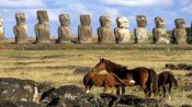 HORSEBACK RIDING EASTER ISLAND, Easter Island, CHILE