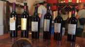 Portillo and San Esteban Winery, become a winemaker, Santiago, CHILE