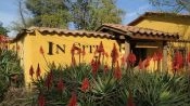 Portillo and San Esteban Winery, become a winemaker, Santiago, CHILE