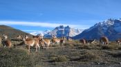 FULL DAY TOUR, TORRES DEL PAINE, Torres del Paine, CHILE