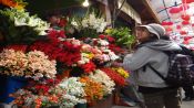 City Tour Bolivia with a shoeshine guide., La Paz, BOLIVIA