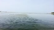 Boquilla Mangrove Morning Tour, Cartagena de Indias, COLOMBIA