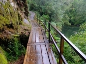 Alerce Andino National Park Tour, Puerto Varas, CHILE