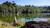 TREKKING CONGUILLIO NATIONAL PARK, Temuco, CHILE