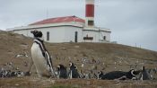 NAVIGATION TO PENGUINERAS FIORDOS DEL SUR II, Punta Arenas, CHILE