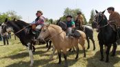 Field day,  a Gaucho. Argentine Field, Buenos Aires, ARGENTINA