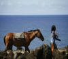 GETTING TO KNOW EASTER ISLAND