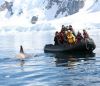 CLASSIC ANTARTICA AIR-CRUISE