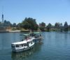 KNOWING VALDIVIA