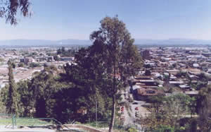 Paquetes en  Curico, CHILE