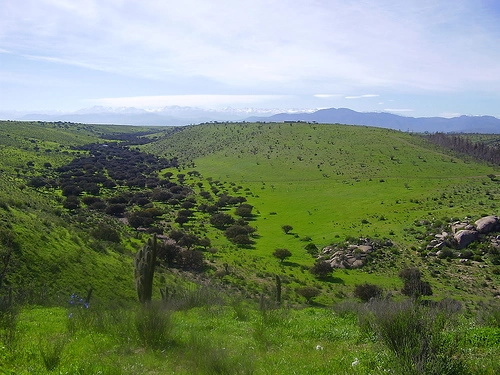  Tabali Vineyard Tour + Valle Del Encanto, La Serena