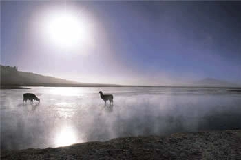 The Salt Flats Route, San Pedro de Atacama, CHILE