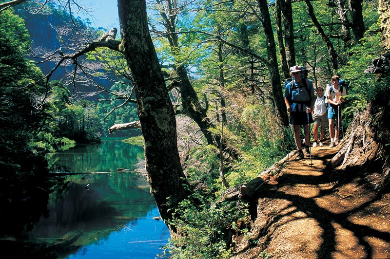 HUERQUEHUE NATIONAL PARK TREKKING , Pucon, CHILE