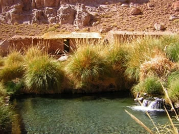 PURITAMA HOT SPRINGS, San Pedro de Atacama, CHILE