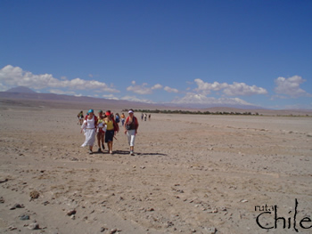 SALAR DE ATACAMA - TOCONAO , San Pedro de Atacama, CHILE