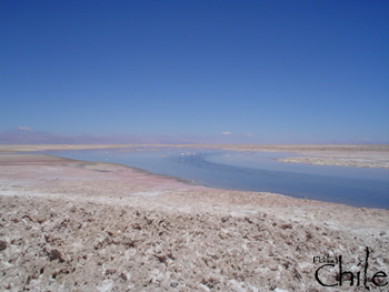 SALAR DE ATACAMA - TOCONAO , San Pedro de Atacama, CHILE