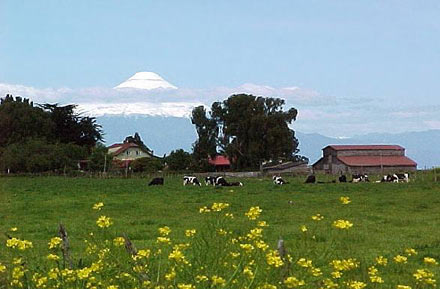 FRUTILLAR / LLANQUIHUE, Puerto Montt, CHILE